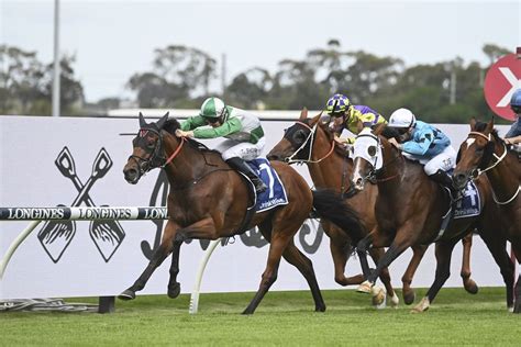 rosehill trials replays|Racing Australia .